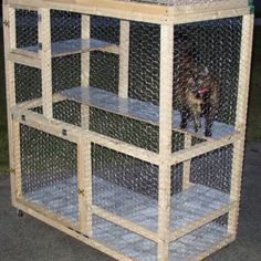 How to build a cat cage  http://tazthecat.net/catcage/one-html/catcage-howto.html Cat Cages Indoor, Diy Cat Enclosure, Katt Grejer, Cat Litter Box Enclosure, Cat Pen, Cat Kennel, Cat Patio, Cat Cage, Outdoor Cat Enclosure