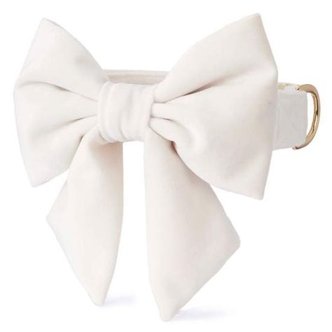 Ivory Velvet Lady Bow Collar – The Foggy Dog Foggy Dog, The Foggy Dog, Velvet Dog Collar, Luxury Dog Collars, Dog Collar With Name, Dog Collar Bows, Puppy Accessories, Designer Dog Collars, Dog Collar Bow Tie