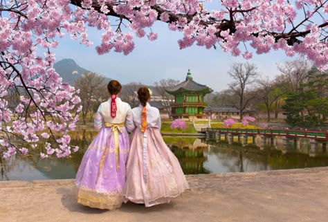 Te descubrimos diez lugares que ver en Corea del Sur imprescindibles . Se trata de una guía con algunos de nuestros rincones favoritos para un primer viaje a Corea del Sur con paradas en Seúl, Busán y Gyeongju. Korea Tourist Spots, Korea Południowa, Gyeongju, South Korea Travel, Korean Culture, Most Beautiful Wallpaper, Pink Wedding Dress, National Dress, Korea Travel