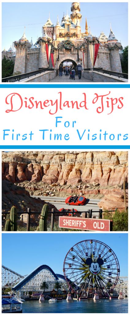 Looking for Disneyland tips for first time visitors? From character experiences, to waiting in lines, to dining, here are some tips to keep in mind when planning a family vacation to Disneyland. Disneyland Shortcuts, Disneyland Activities, Secrets Of Disneyland, Disneyland 2024, Disneyland 2023, Disneyland Trip Planning, Disneyland Vacation Planning, Disney Trip Surprise, Disneyland Ca