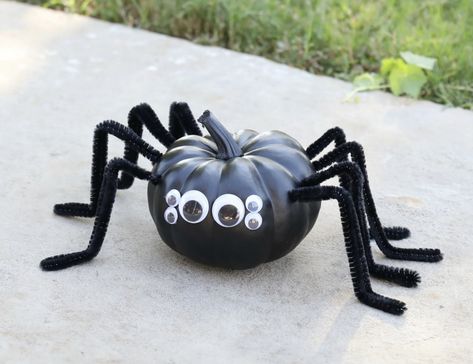 Painting Real Pumpkins Ideas, Spider Painted Pumpkin, Boy Pumpkin Painting Ideas, Pumpkin Painting Ideas Spider, Pumpkin Painting Spider, Pumpkin Painting Ideas Black, Spider Pumpkin Painting, Black Pumpkin Painting Ideas, Easy Pumpkin Decorating