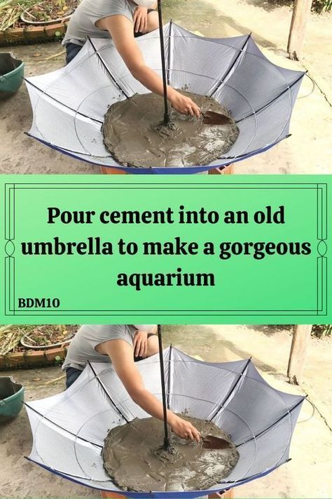 Concrete Countertops White, Cement Diy, Parenting Knowledge, Portland Cement, Fish Pond, Water Hose, Concrete Countertops, Diy Life Hacks, Aquatic Plants