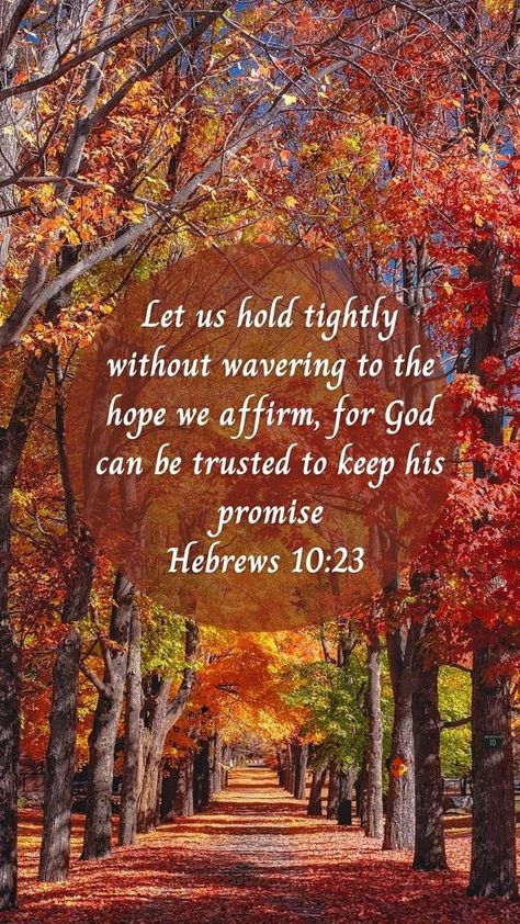 Autumn Scripture, Declaration Of Faith, Daily Bible Scriptures, Fall Bible Verses, Godly Character, God Power, Trust Jesus, Jesus Background, Healing Prayers