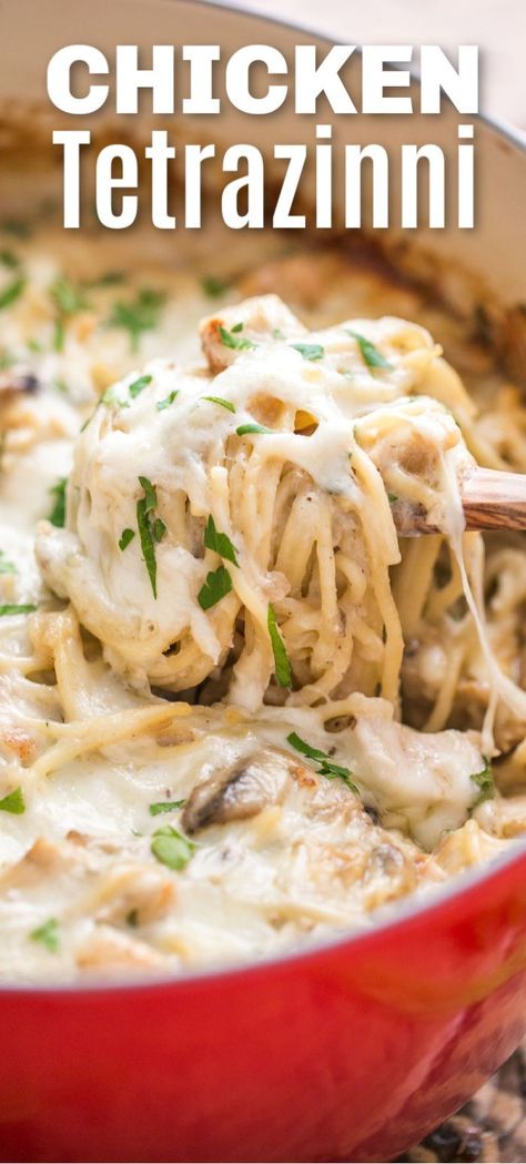 . Recipes Diner, Natashas Kitchen, Chicken Tetrazzini Recipes, Cheesy Chicken Pasta, Chicken Tetrazzini, Chicken Pasta Bake, Diner Recipes, Cheesy Pasta, Pasta Casserole