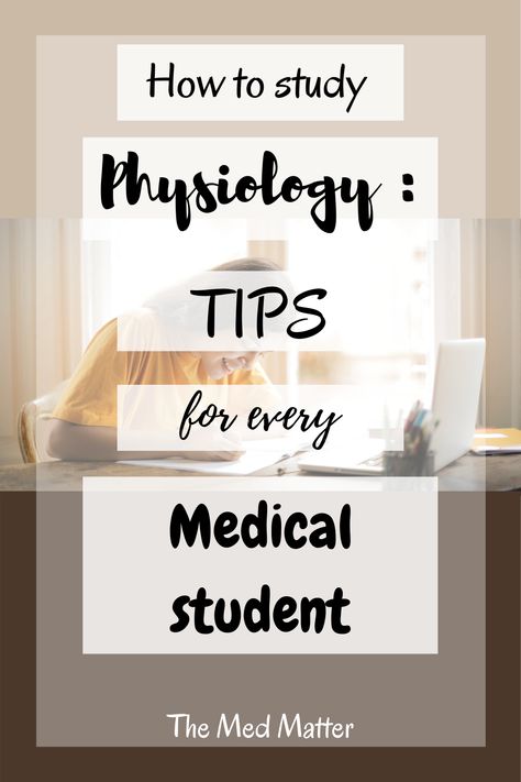 Studying physiology involves understanding a lot of concepts. Wondering how? Let's read this post and find out! How To Study Physiology, How To Study Anatomy And Physiology, Study Tips For Medical Students, Study Physiology, Anatomy And Physiology Study Tips, Physiology Study Tips, Physiology Aesthetic, Guyton Physiology, Anatomy And Physiology Notes Study