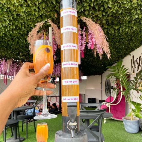 Mimosa Tower, Cocktail Tower, How To Make Mimosas, Epic Sleepover, Mimosa Brunch, Fun Drinks Alcohol, Mimosa Flower, Flower Tower, Brunch Restaurants