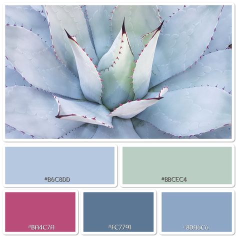 Calm serenity.  Photo colour palette colour scheme peace succulent plant design relaxation Meditation Room Colors, Zen Meditation Room, Zen Colors, Zen Meditation, Colour Inspiration, Calming Colors, Meditation Room, Floral Color, Event Ideas