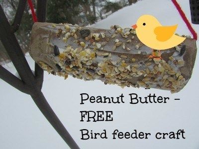 Peanut Butter Free Bird Feeder Craft - Valley Family Fun Bird Feeders For Kids To Make, Popsicle Stick Crafts House, Bird Feeder Craft, Preschool Garden, Homemade Bird Feeders, Bird House Kits, Green Craft, Diy Bird Feeder, Free Bird