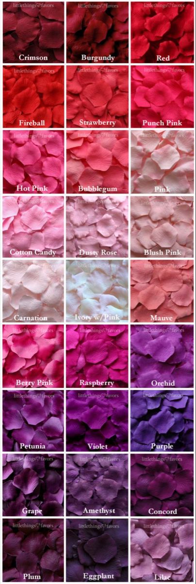 Fake Rose Petals, Color Knowledge, Bahasa Jepun, Silk Rose Petals, Color Mixing Chart, Seni Dan Kraf, Color Combinations For Clothes, Wedding Garden, Silk Rose