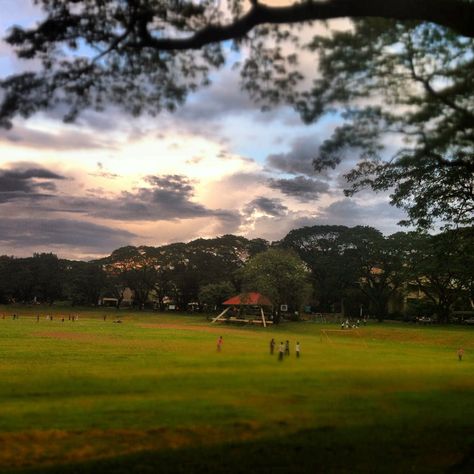 The Sunken Garden at the University of the Philippines Diliman, Quezon City Sunken Garden Up Diliman, University Of The Philippines Diliman, Up Diliman, University Of The Philippines, Street Shopping, Wattpad Cover, Sunken Garden, Quezon City, Childhood Days