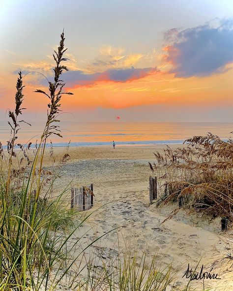 Catching sunrise #obx - Lisa Louise Photography Duck Nc Outer Banks, Outer Banks Nc Aesthetic, Outer Banks Beach House, Beach Outer Banks, Sunset Beach Nc, Kill Devil Hills Nc, Nc Beaches, Beach Grass, Outer Banks North Carolina