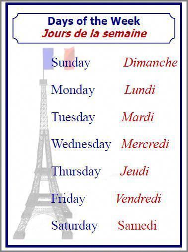 French Language Basics, Useful French Phrases, Biology Humor, French Basics, Learn To Speak French, French Alphabet, French Flashcards, Montessori Elementary, Language Classroom