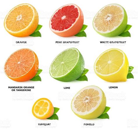 Citrus Fruit List, Fruits And Vegetables List, Fruit Names, Fruit List, Resep Salad, Food Vocabulary, Food Infographic, Types Of Fruit, Fruit Photography