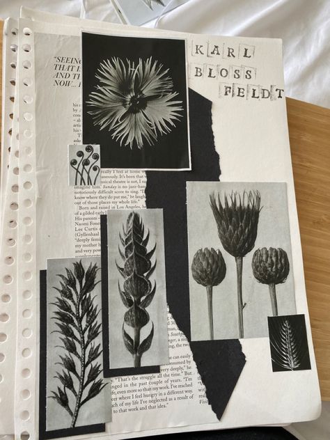 Gcse Art Sketchbook Black And White, Artist Title Ideas, Photography Books Layout, Journal Ideas Photography, Artist Research Page Gcse Sketchbook Ideas, Artist Research Page Backgrounds, Nature Art Gcse Sketch Books, Textile Book Design, Art Sketch Book Backgrounds