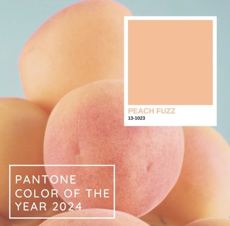 Color Palette 2024 Pantone, Peach Pantone Color, Peach Pantone 2024, Pantone Color 2024 Peach Fuzz, Pantone Peach Fuzz Interior, 2024 Color Of The Year Pantone, Pantone Peach Fuzz Color Palette, Peach Fuzz Hair Color, 2024 Pantone Color Of The Year