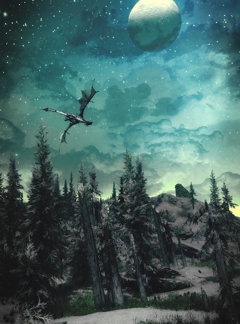 The stars of Nirn come out at night. Skyrim Night Sky, Skyrim Artwork, Skyrim Scenery, Skyrim Wallpaper, Tes Skyrim, Night Dragon, Fus Ro Dah, Skyrim Dragon, Witcher Wallpaper