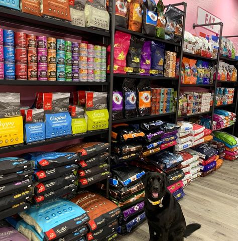 Pet Store Design Ideas, Opening A Pet Store, Cat Store Design, Pet Shop Aesthetic, Petshop Design Pet Store, Pet Store Shelving, Store Signs Design, Cat Pet Shop, Pet Store Display