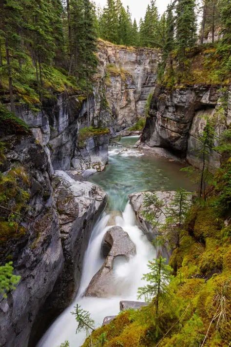 17 Best Things to Do in Jasper National Park — The Discoveries Of Canadian Travel Destinations, Jasper National Park Canada, Jasper Canada, Jasper Park, Alberta Travel, Backcountry Camping, Canadian Travel, Parks Canada, Jasper National Park