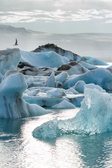 Jökulsárlón Glacier Lagoon Iceland OC [600x900] Glacier Lagoon Iceland, Jokulsarlon Glacier Lagoon, Iceland December, Proposal Places, Jokulsarlon Iceland, Iceland Snow, Iceland Glacier, Lagoon Iceland, Iceland Winter