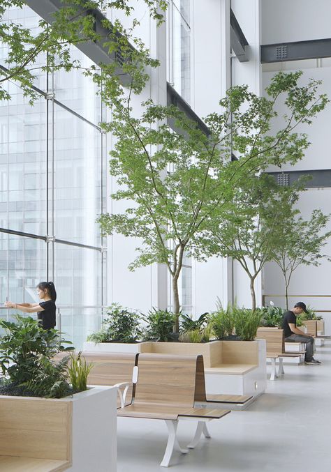 Green Working Space, Interior Landscape Design Office, Modern Hospital Architecture, Workspace Design Ideas, Outdoor Workspace, Office Bench, Interior Gardens, Decoration Hall, Waiting Room Design