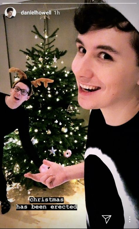 Dan's Insta story Dec. 3, 2018 (The Christmas tree has been decorated) Nerdy Quote, Dan And Phill, Daniel Howell, Phil 3, Youtube Gamer, The Good Dinosaur, Phil Lester, Dan Howell, Amazingphil