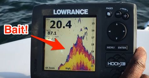 Want to know how the top fishing guides use their fish finder to find the best bait? Then check out this over the shoulder look from Capt. Mike Goodwine. Kayak Fish Finder, Fishing Basics, Salt Water Fishing, Fishing Photography, Fly Fishing Tips, Bass Fishing Tips, Live Bait, Crappie Fishing, Fishing Techniques