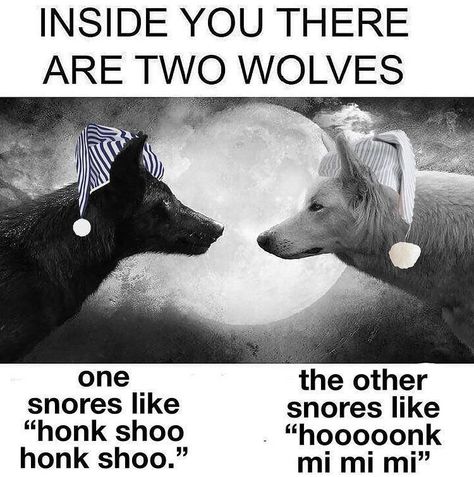 Monday Morning Randomness User Edition - Kenku - Funny Gallery Honk Shoo, Timmy Turner, Two Wolves, Silly Images, Lose My Mind, Funny Me, Funny Laugh, Reaction Pictures, Wolves