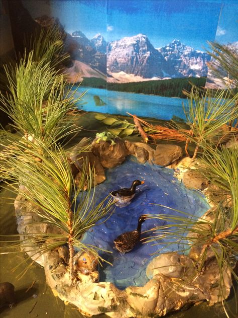 Diorama of mountain lake Lake Diorama Project, Lake Diorama, Pond Diorama, Ecosystems Diorama, Shoe Box Diorama, Landform Projects, Land Form, Biomes Project, Diorama Kids