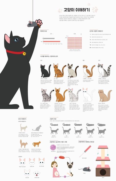 Pet Infographic, Emotion Psychology, Cat Infographic, Animal Infographic, Feminist Artist, Infographic Inspiration, Paper Art Sculpture, Graphic Design Infographic, Infographic Poster