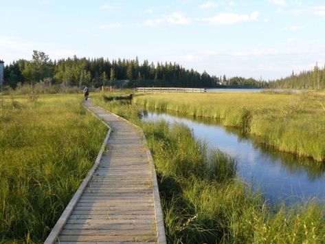 Alberta Travel, Wetland Park, Water Projects, Canada Road Trip, Brick Architecture, Community Park, Water Element, Walking Trails, Tourist Destinations