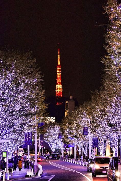 #christmas #japan #cute #kawaii #pinterest #instagram #christmasdecor #japanesecore #beautiful Tokyo In Winter, Japan In December, Christmas In Japan, Tokyo Christmas, Tokyo Winter, Christmas Japan, German Christmas Traditions, Tokyo Guide, Aesthetic Layout