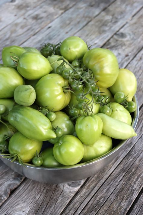 20+ Green Tomato Canning Recipes Tomato Canning Recipes, Canning Green Tomatoes, Tomato Canning, Sun Oven, Canning Tomatoes Recipes, Pickled Green Tomatoes, Preserving Tomatoes, Green Tomato Recipes, Spiced Butter