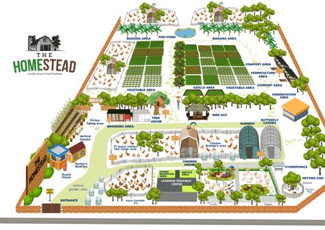 homestead Big Farm Layout, 40 Acre Farm Layout, 50 Acre Farm Layout, Farm Plans Layout Design, Farm Design Layout, 3 Acre Homestead Layout, 10 Acre Homestead Layout, Farm Layout 10 Acres, Chicken Farm Design