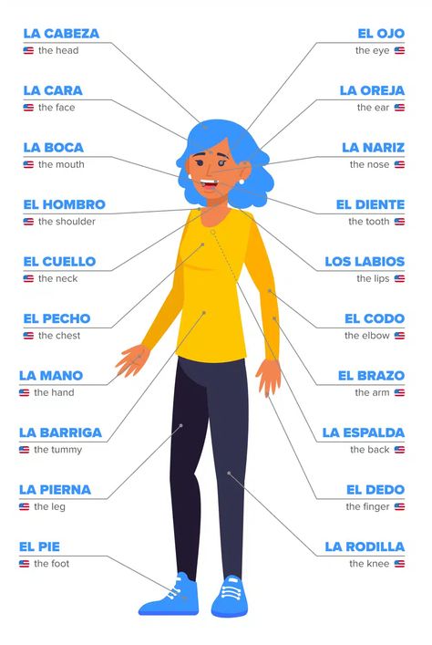 Body Parts in Spanish: 70+ Important Vocabulary Words Plus Helpful Grammar Tips! | FluentU Spanish Spanish Vocabulary List, Body Parts In Spanish, Spanish Help, Spanish Notes, Useful Spanish Phrases, Spanish Learning Activities, Spanish Words For Beginners, Basic Spanish Words, Spanish Classroom Activities