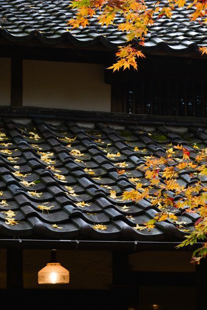 Japanese Roof, Solar Tiles, Japanese Tile, Japan Architecture, Sea Of Japan, Japan Culture, Roof Detail, Roof Tiles, Japanese Architecture