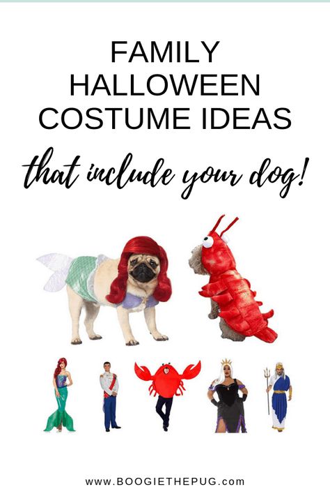 We've rounded up the best family costume ideas, and all of them include the furriest member of the pack - your dog! Check out these group Halloween costumes. Pet Family Halloween Costumes, Group Costumes With Dogs, Group Halloween Costumes With Dog, Group Costume With Dog, Dog Family Halloween Costumes, Family Halloween Costumes With Dog, Family Pet Costumes, Halloween Costumes With Dog, Family Costumes For 3