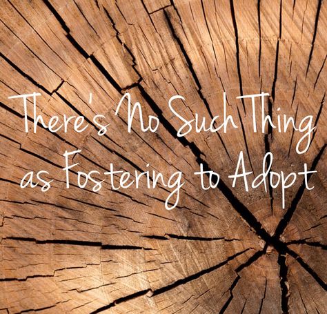 There’s No Such Thing as Fostering to Adopt – sherocksthecradle Foster To Adopt Quotes, Foster Parent Shower Ideas, Foster Mom Quotes, Foster Care Adoption Announcement, Foster Parent Quotes, Parent Appreciation, Foster Care Quotes, Entrepreneur Website, Fertility Boosters