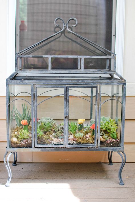 Diy Terrarium Table, Garden Signs Diy, Geometric Door, Terrarium Table, Mason Jar Terrarium, Build A Terrarium, Diy Terrarium Kit, Fish Tank Terrarium, Plants In Jars