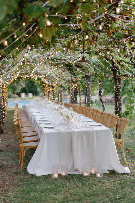 Lighting decoration with fairy lights and string lights for wedding dinner under the vine pergola. #weddingmusicandlights #weddingdecoridea #weddinglighting Yule Wedding, Vineyard Wedding Reception, Wedding Reception Chairs, Wedding Decorations Elegant, Gay Wedding Ideas, Elegant Wedding Decorations, Forest Weddings, Wedding Ideas Fall, Outdoor Party Ideas