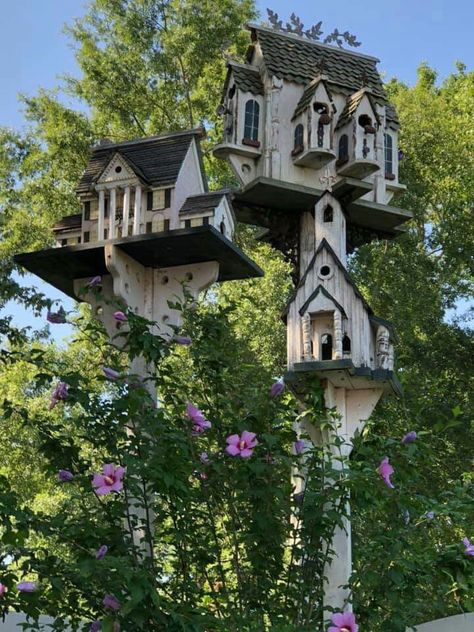 Diy Backyard Projects, Bamboo Garden Fences, Unique Bird Feeders, Beautiful Environment, Birdhouses Bird Feeders, Homemade Bird Houses, Beautiful Birdhouses, Garden Art Sculptures Diy, Bird Houses Ideas Diy