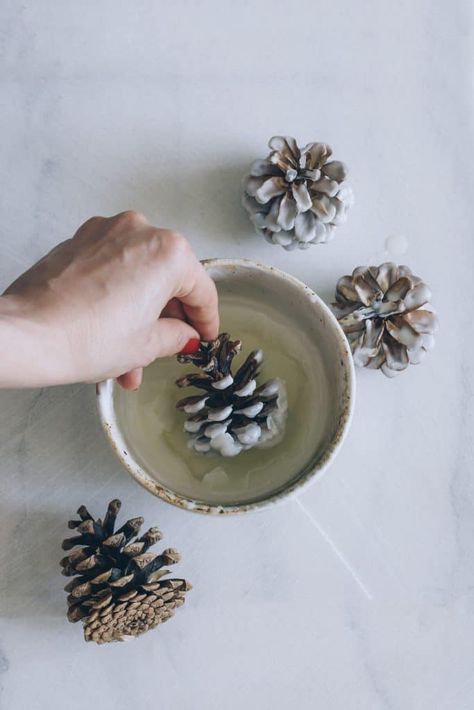 Make Your Own Wax-Dipped Cinnamon Pinecone Firestarters Make Fire Starters, Pinecone Firestarters, Firestarters Diy, Homemade Fire Starters, Pinecone Fire Starters, Fire Starters Diy, Scented Pinecones, Diy Scent, Pine Cone Candles