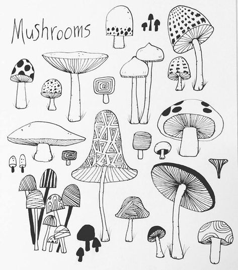 Drawing Ideas Easy Doodles, Poisonous Mushrooms, Drawing Ideas Easy, Mushroom Drawing, Easy Doodles, Mushroom Art, Doodle Art Designs, Flower Doodles, Journal Doodles