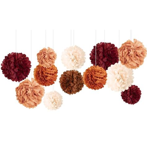 NICROHOME 12 PCS Carmine, Rust Orange, Light Ivory, Apricot, Brown Tissue Paper Pom Poms, Wedding Decorations for Retro Parties, Engagement, Bride, Baby Shower, Birthday, Graduation Halloween Brown Tissue Paper, Pom Pom Decorations, Paper Pom Pom, Tissue Pom Poms, Tissue Paper Pom Poms, Paper Pom Poms, Orange Decor, Engagement Decorations, Orange Light