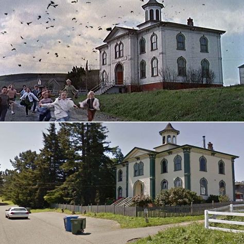 Movie Locations Then and Now |- The schoolhouse from 'The Birds' Bodega Bay California, Alfred Hitchcock The Birds, Bodega Bay, Famous Houses, Movie Locations, Film Locations, Marty Mcfly, Thriller Film, Richard Gere