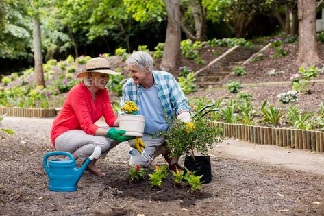 Senior couple gardening by Wavebreakmedia. Senior couple gardening in the garden#couple, #Senior, #gardening, #garden Senior Gardening, Happy Hat, Male Man, 3d Background, Abstract 3d, Life Photography, Design Architecture, Graphics Design, Flowers Photography