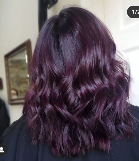 Deep violet/cool plumhair I found online Deep Violet Hair, Plum Brown Hair, Plum Purple Hair, Eggplant Hair, Dark Violet Hair, Deep Purple Hair, Violet Hair Colors, Hair Color Plum, Dark Purple Hair