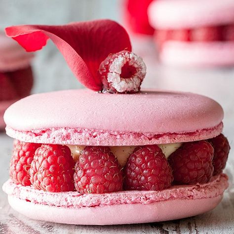 Raspberry Macaroons, Pink Cookies, Macaron Recipe, Yummy Desserts, Twin Cities, Macaroons, Amelie, Mini Cheesecake, Food Inspiration