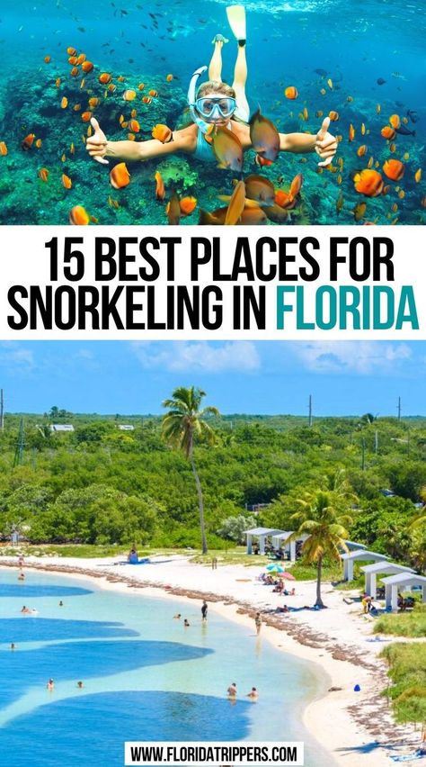 Best Places For Snorkeling In Florida Florida Snorkeling, Kayak Florida, Fun Places In Florida, Northern Florida Things To Do, Homosassa Springs Florida, North Florida Things To Do, Places To Travel In Florida, Ismorada Florida, Florida Trip Ideas