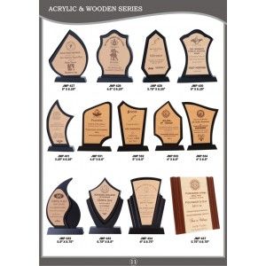 Trophy Craft, Wood Trophies, Wooden Award, Acrylic Trophy, Wood Craft Patterns, Award Display, Plaque Design, Woodworking Tools Workshop, Award Ideas