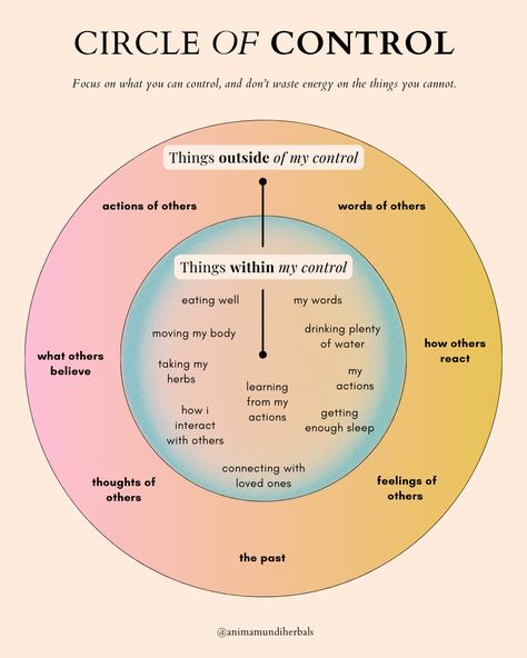 Circles Of Control, My Circle Of Control, Dealing With Change, Circle Of Influence, Letting Go Of Control, Circle Of Control, Let Go Of Control, Coaching Resources, Center Yourself